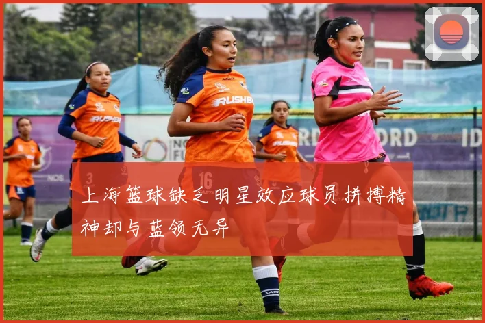 上海篮球缺乏明星效应球员拼搏精神却与蓝领无异